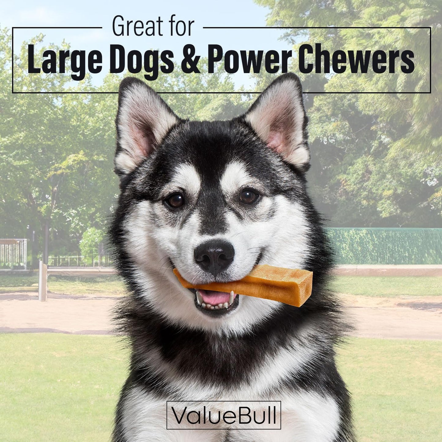 Himalayan Yak Cheese Dog Chews, Extra Large, 2 Lb - Long-Lasting for Aggressive Chewers, All Natural, Healthy & Safe, Low Odor Nepal Yak Milk Chews