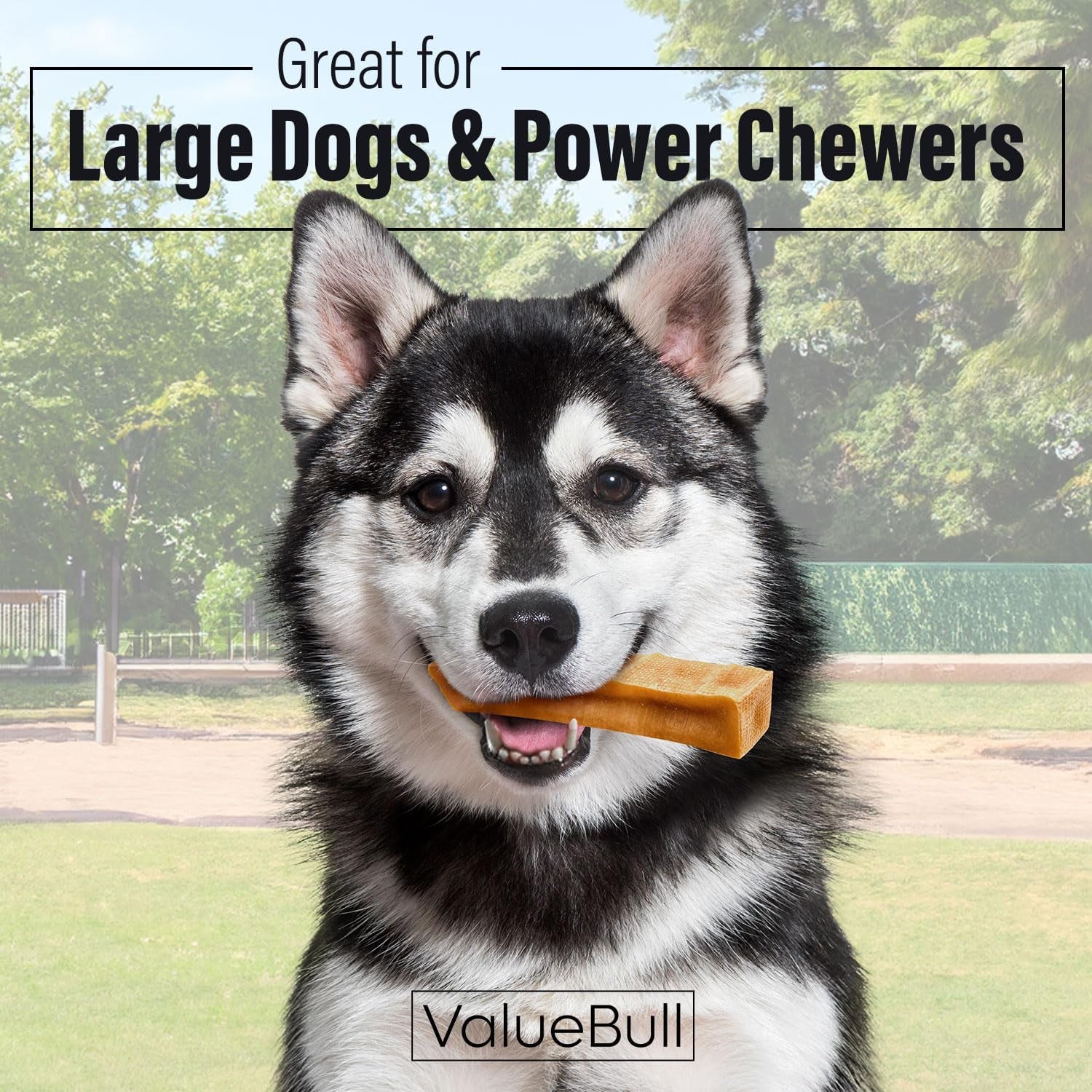 Himalayan Yak Cheese Dog Chews, Extra Large, 2 Lb - Long-Lasting for Aggressive Chewers, All Natural, Healthy & Safe, Low Odor Nepal Yak Milk Chews